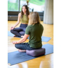 Hugger Mugger Zen Yoga Meditation Cushion Willow 6 Hugger Mugger Zen Yoga Meditation Cushion Willow -EVERYDAY YOGA Sales 1739985584163 willow 4a