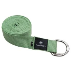 Hugger Mugger D-Ring Cotton Yoga Strap 6' -EVERYDAY YOGA Sales 1740025921571 lightgreen 1a