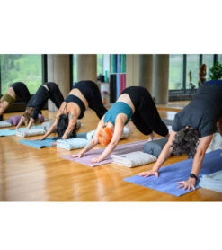 Hugger Mugger Para Rubber Grip Yoga Mat 70" 5mm Extra Thick River -EVERYDAY YOGA Sales 1740051185699 river 5a 1