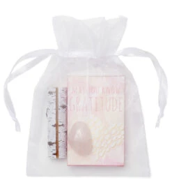 May You Know Joy May You Know Gratitude Ritual Set Pink